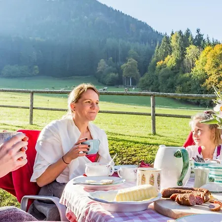 度假居 Lassing-hochkar